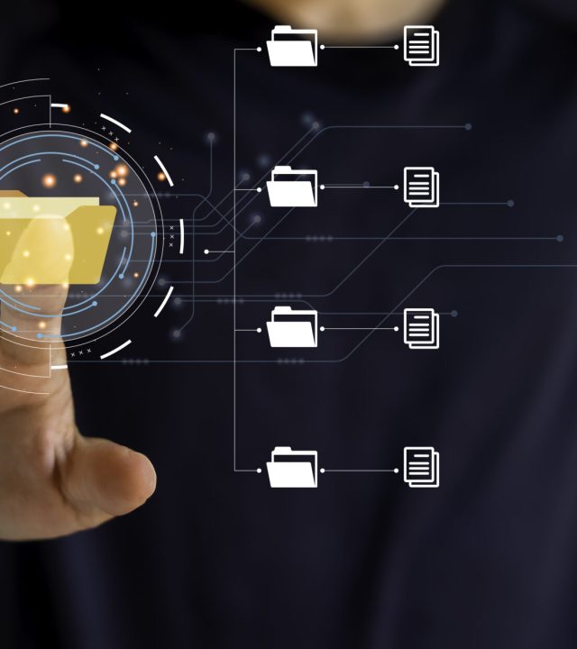 Document management system and IT business processes arranging for archiving Find and manage files and corporate data. Digital transformation of files.